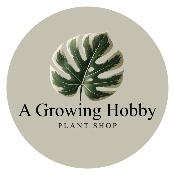 A Growing Hobby